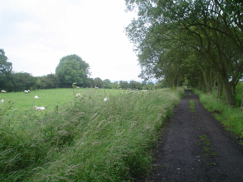 The coastal railway south of Ravenscar