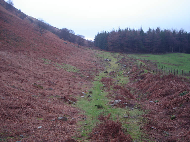 Western slopes of Easterside Hill