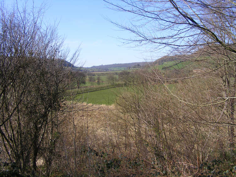 Hazel Head, Forge Valley 