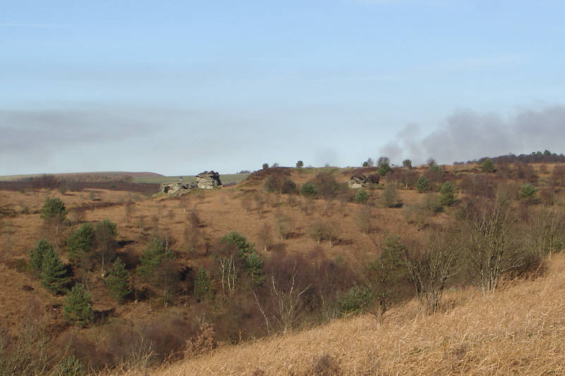 A view of the High Bridestones from the Low Bridestones. 