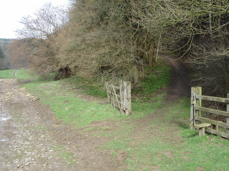 Swainby