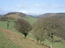 Langdale Rigg