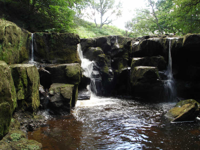 Nelly Ayre Foss from below 