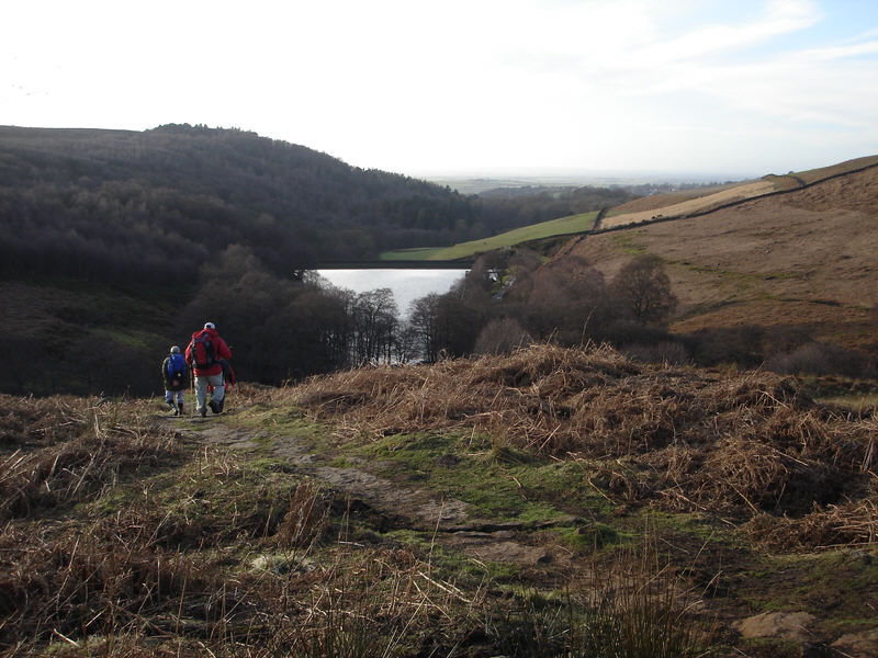 Oak Dale near Osmotherley, from close to the head of the dale.