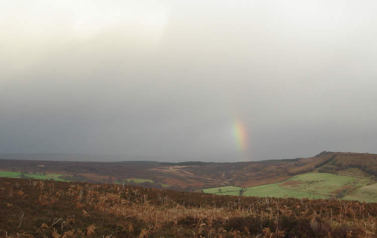 Dramatic Skies over Rievaulx Bank