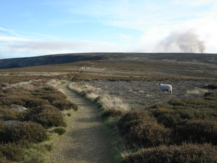 Swainby