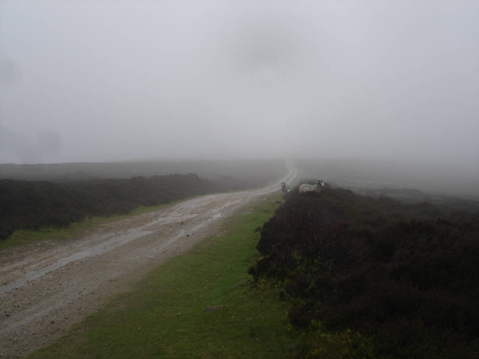 Rudland Rigg, between Farndale and Bransdale, on a wet day. 