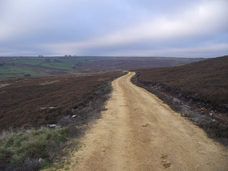 Yellow Track on Shaw Side