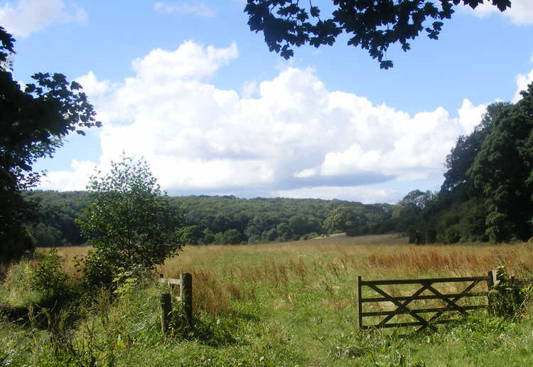Swainby