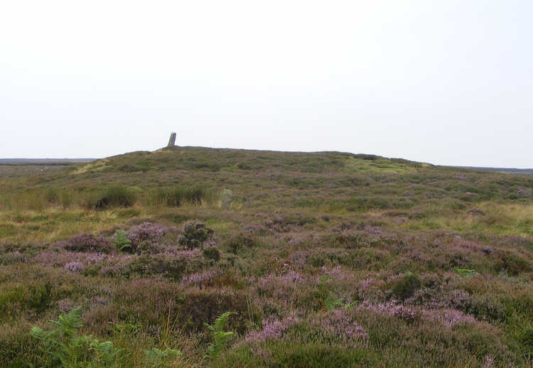 Boundary Stone at Tidkinhow Slack 